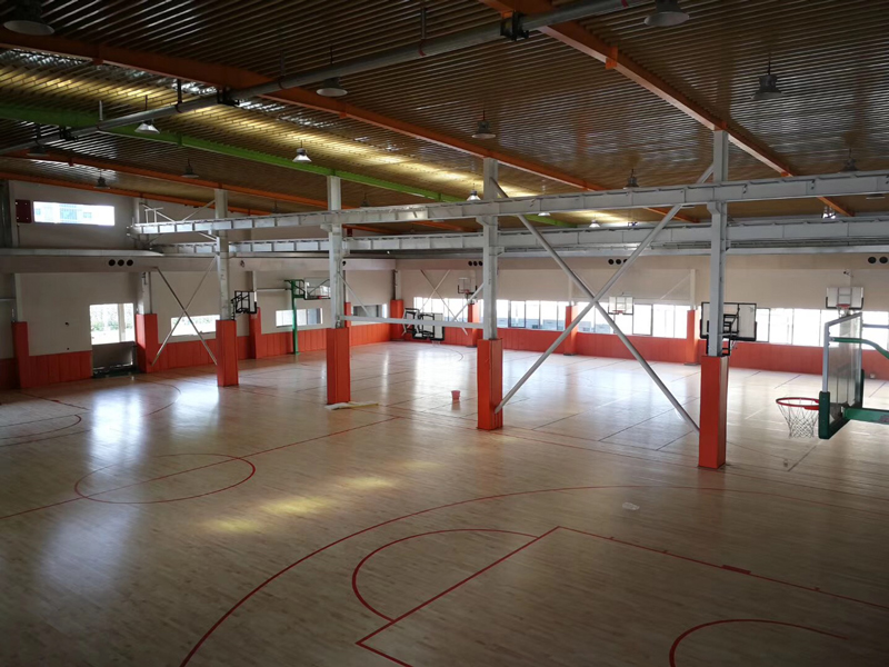 枫桦木 AB级 运动实木地板