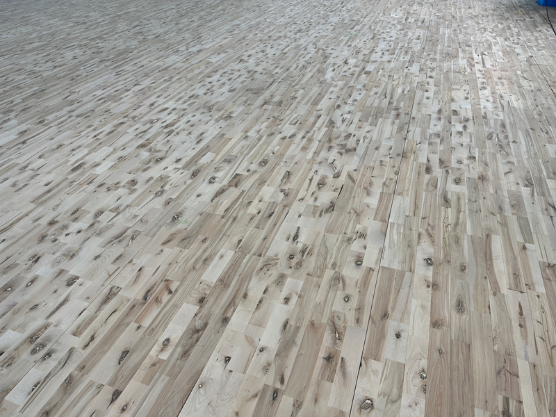 枫桦木 D级 运动实木地板